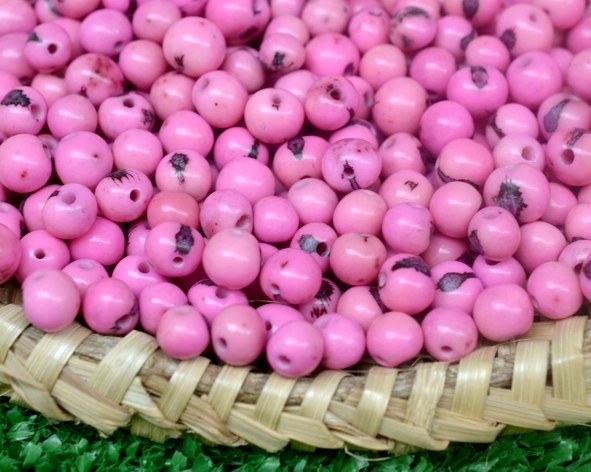 Açaí super premium (sem verniz) - Rosa chiclete - 500 sementes